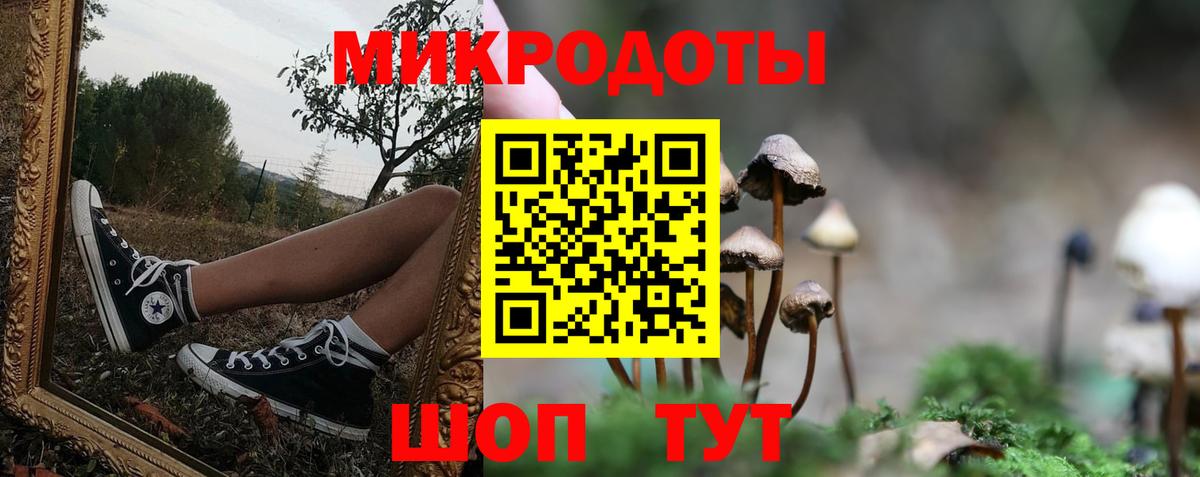 Псилоцибиновые грибы MAGIC MUSHROOMS  Вход с VPN  Калининград  Галлюциногенные грибы прущие грибы 