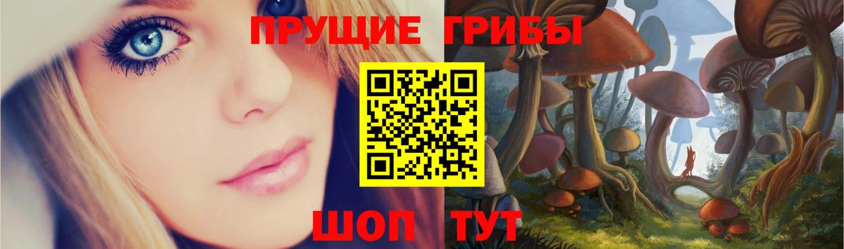 Галлюциногенные грибы Psilocybe Калининград